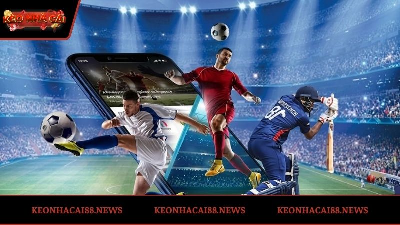 Phân Loại Và Phân Nhánh Bảng Xếp Hạng Bóng Đá Theo Giải Đấu
